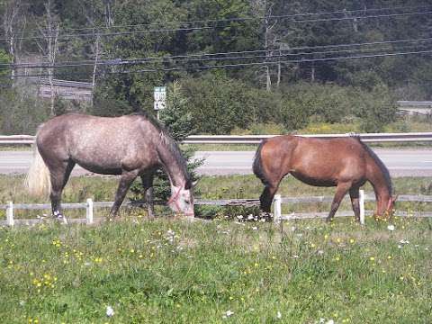 Storybook Stables